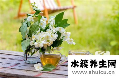 绿萝花的作用