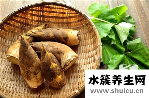 淡竹叶的作用