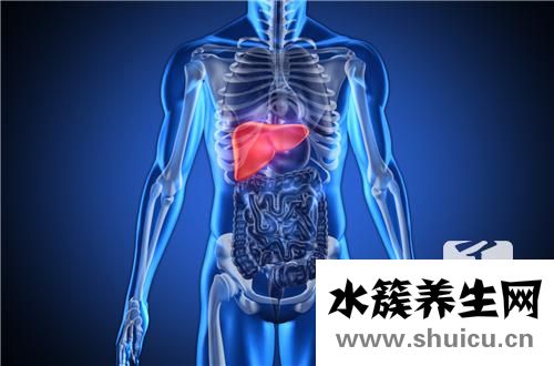 谷草谷丙偏高