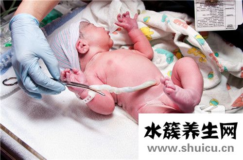 早产儿配方奶粉