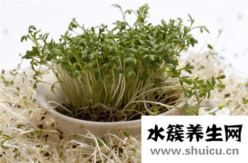 淡菜的功效