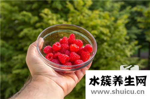 蔓越莓的副作用有哪些？