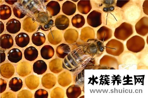 蜜蜂蜡