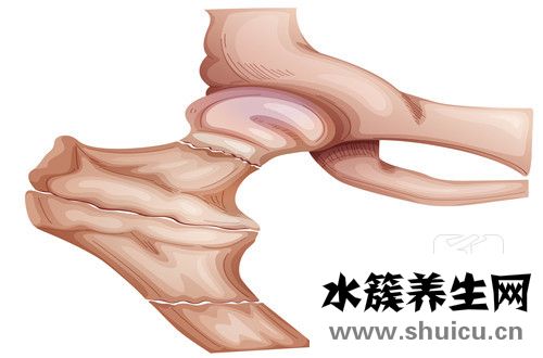 骨盆骨折的治疗