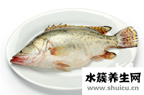 糖醋松鼠鱼