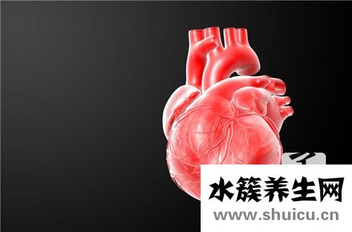 乙酰胆碱的作用