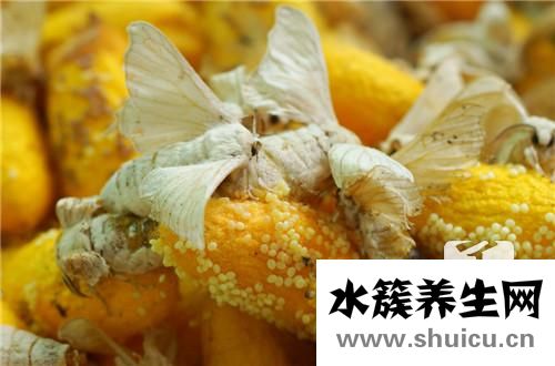 榨蚕丝