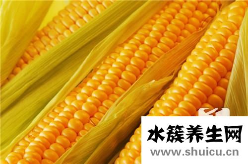 玉米花粉