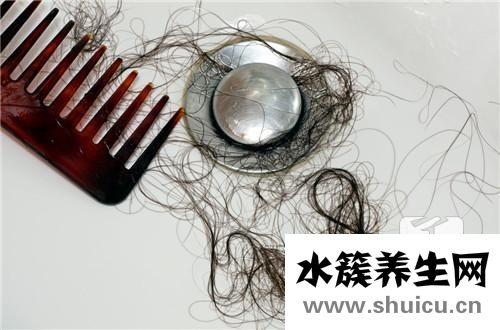 头发掉如何治疗