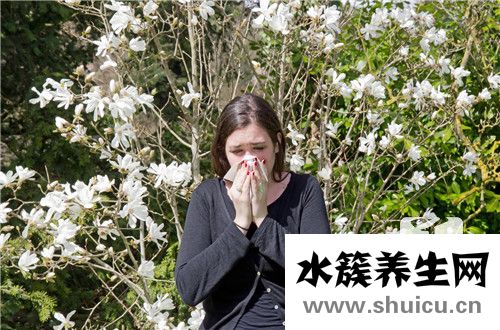 慢性过敏性鼻炎