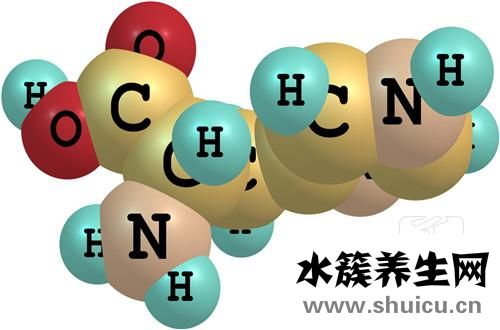 赖氨酸有长高的作用