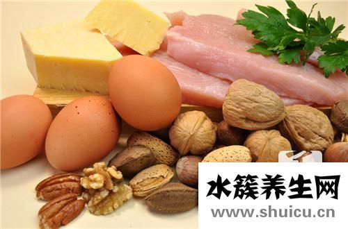 蛋白质减肥法食谱