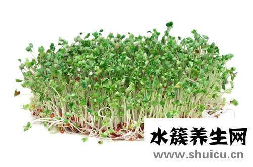 绿豆芽的营养价值