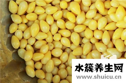 银杏叶片的作用