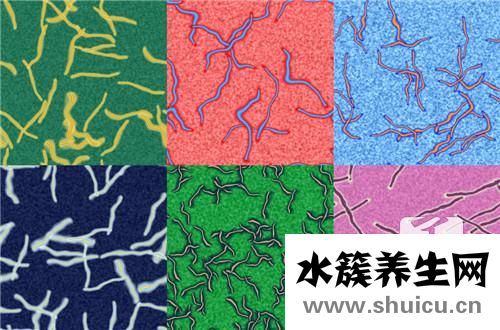 寄生虫症状