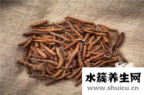 土鳖虫的功效
