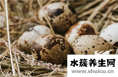 鹅蛋营养
