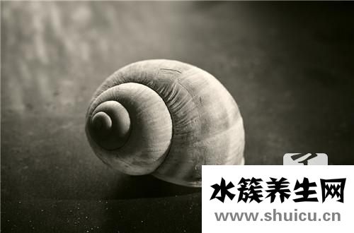 炒田螺的做法