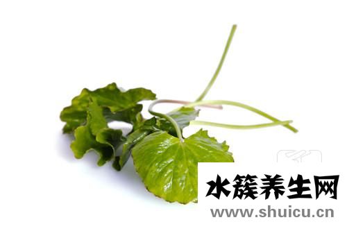 色氨酸食物