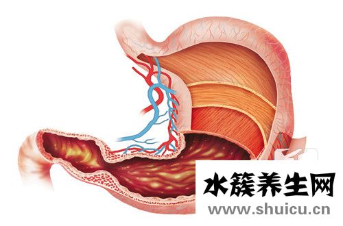 肠胃炎吃什么药好