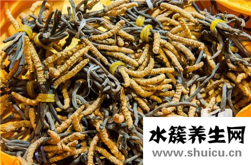 蟑螂繁殖