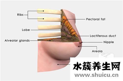自我检测