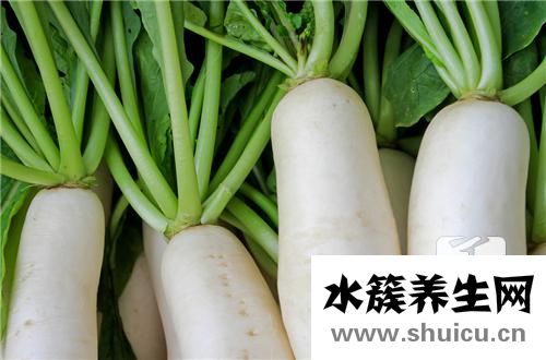 支气管炎的食疗