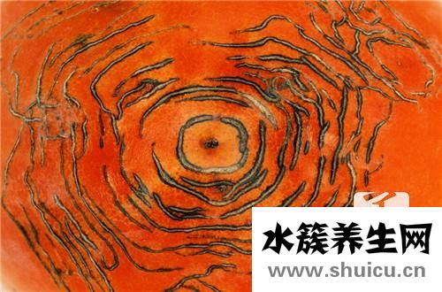 柿子的热量