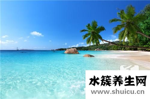 海苔吃多了