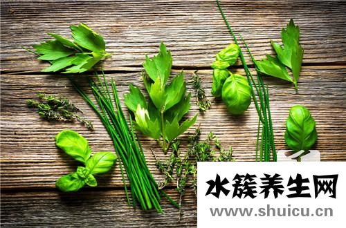 韭菜子的功效