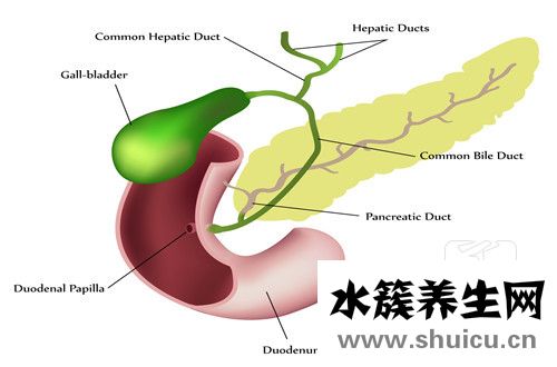 胆囊炎偏方