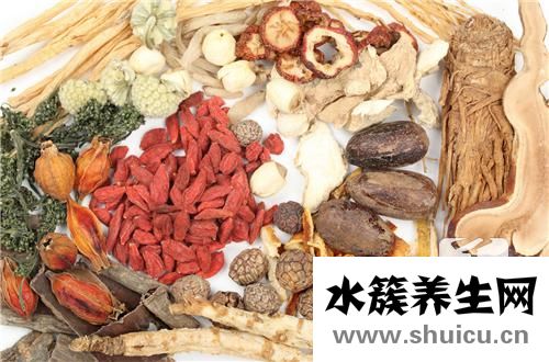 西洋参的功效与作用及食用方法