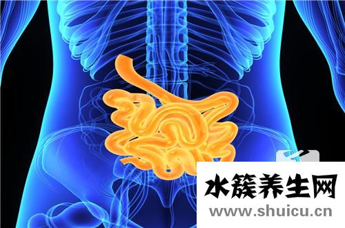 肠梗阻的治疗