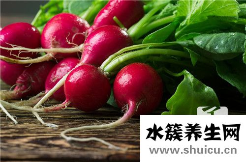 萝卜羊肉汤的做法