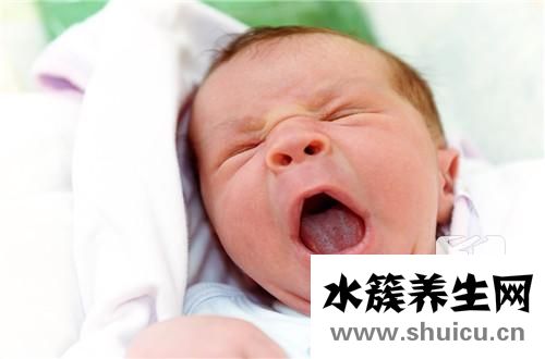 3个月的宝宝