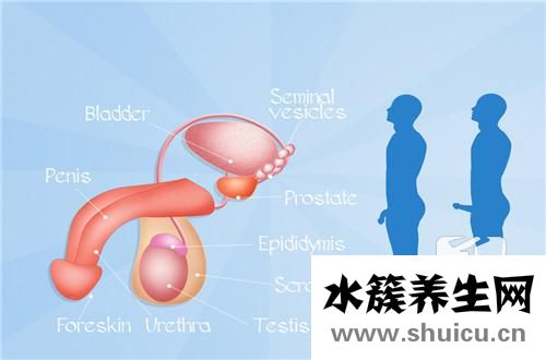 附睾炎怎么治疗