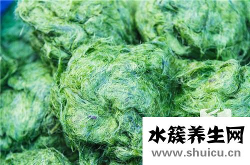 螺旋藻粉