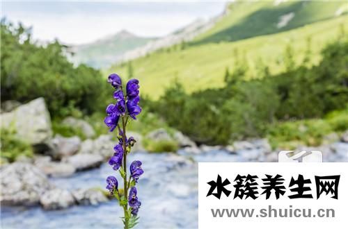 乌头碱中毒
