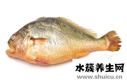 小黄鱼怎么烧