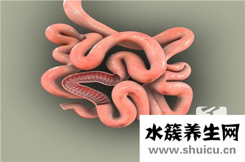 肠梗阻手术