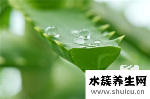 油脂分泌旺盛