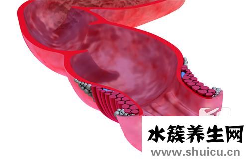括约肌松弛