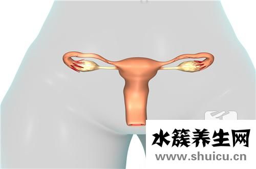 阴道炎能治好吗