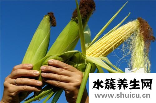 玉米的营养价值
