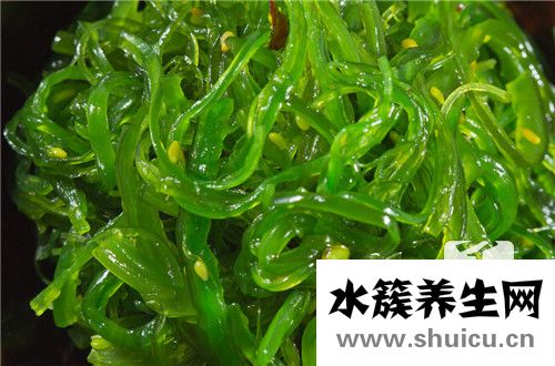 麻子菜