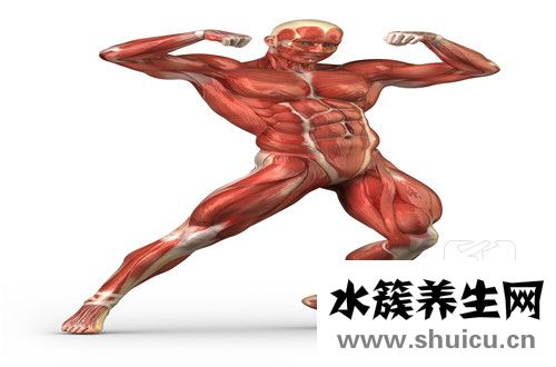 肌腱损伤