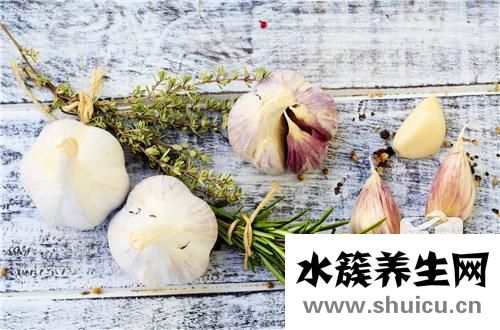 青蒜苗