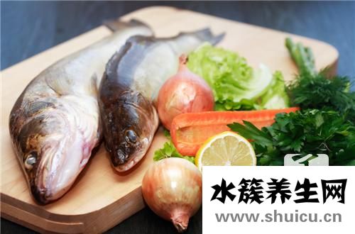 鲷鱼刺身