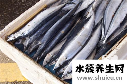 鲷鱼刺身