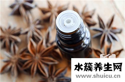 香樟叶